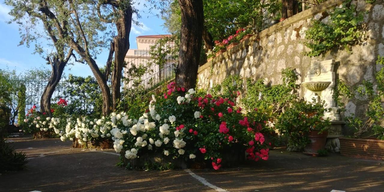 Villa L'Ulivina Sorrento Dış mekan fotoğraf