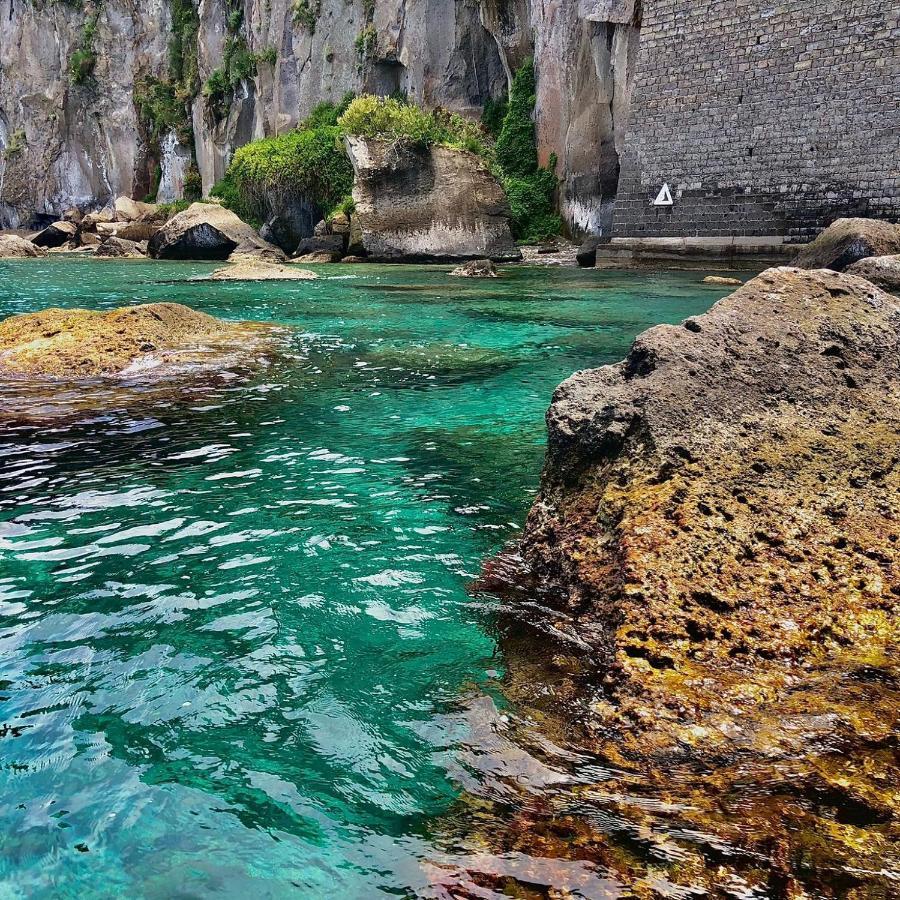 Villa L'Ulivina Sorrento Dış mekan fotoğraf