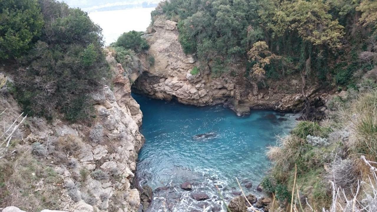 Villa L'Ulivina Sorrento Dış mekan fotoğraf
