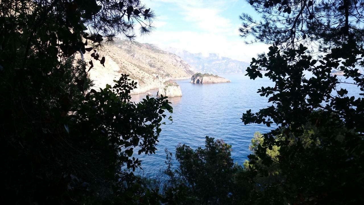 Villa L'Ulivina Sorrento Dış mekan fotoğraf