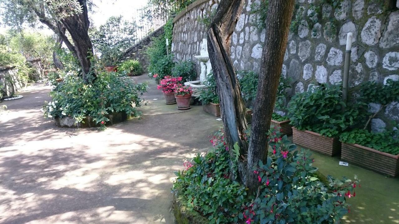 Villa L'Ulivina Sorrento Dış mekan fotoğraf