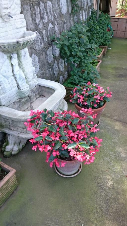 Villa L'Ulivina Sorrento Dış mekan fotoğraf
