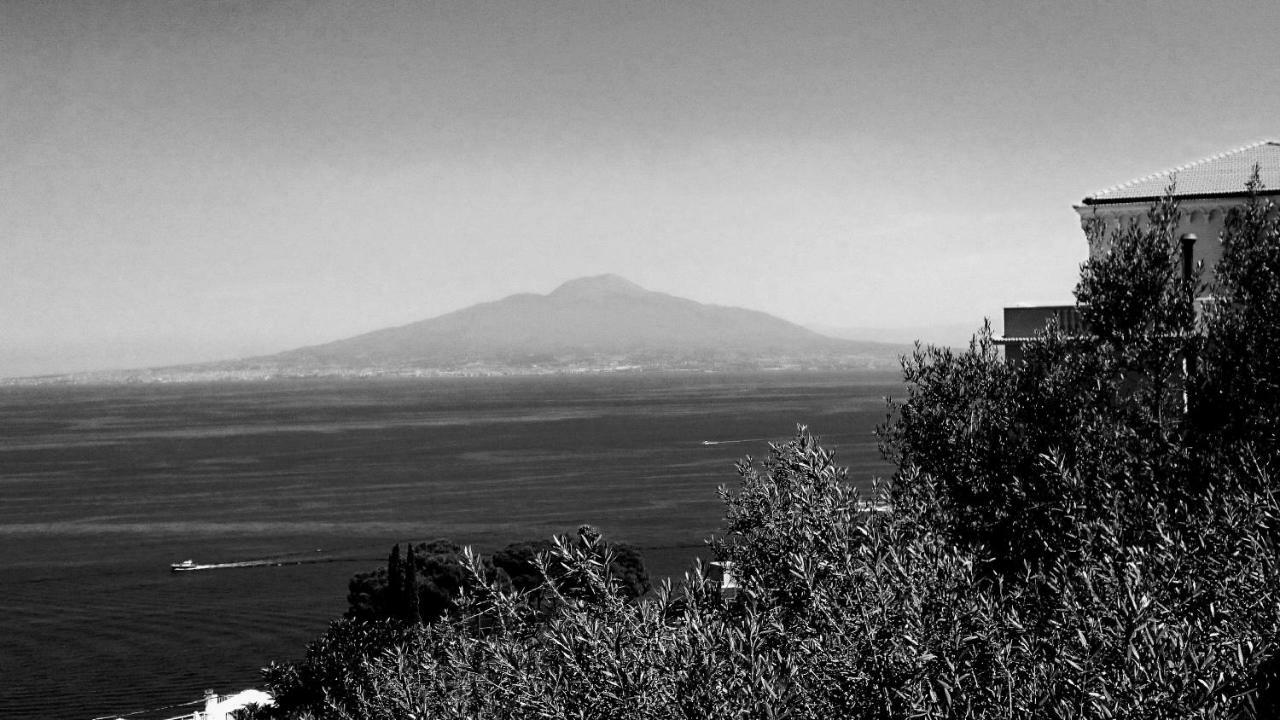 Villa L'Ulivina Sorrento Dış mekan fotoğraf